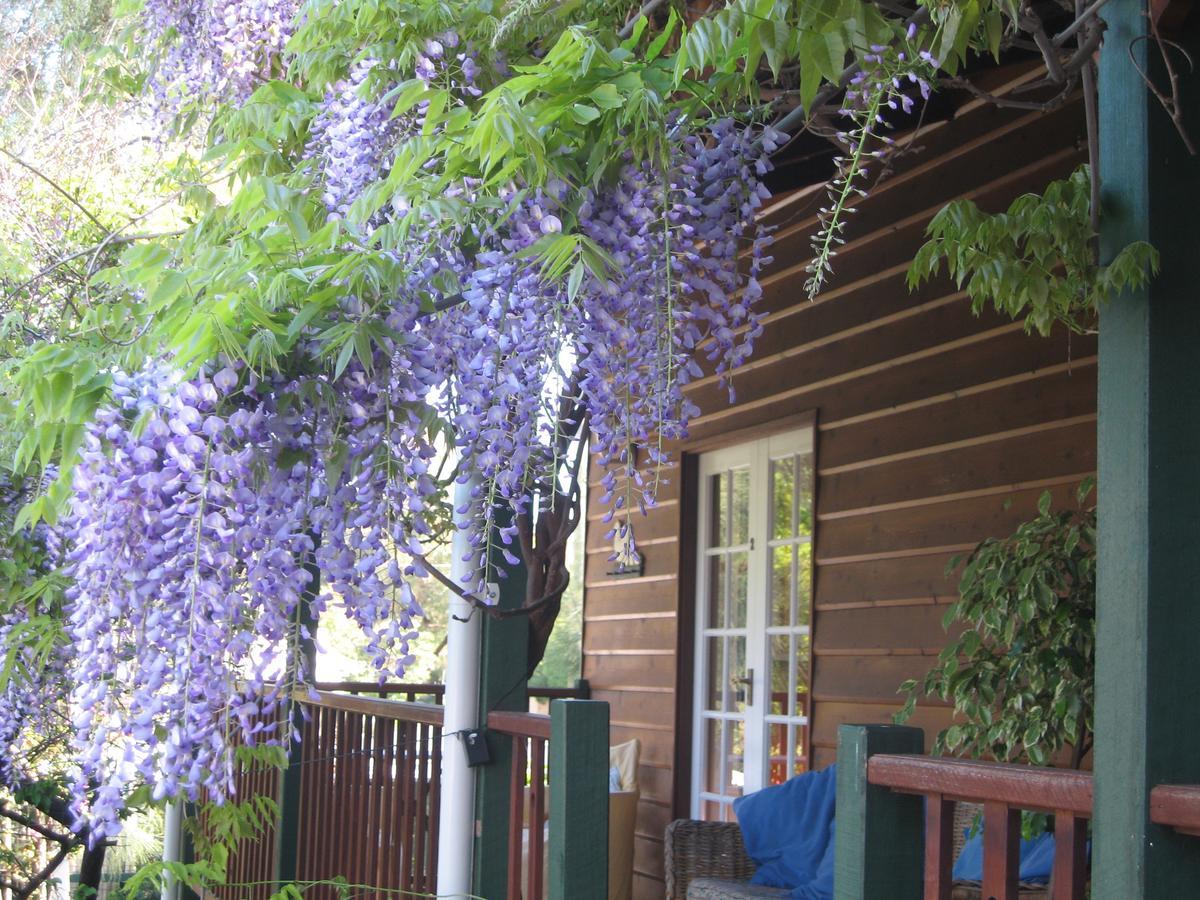 Rosemoore Bed & Breakfast — Photos 3